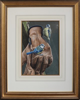 Lot 1035 - Andrew Hutchinson (b.1961) Bluetits on an Alan...