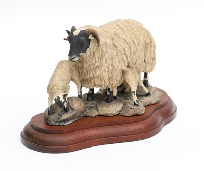 Lot 63 - Border Fine Arts 'Blackfaced Ewe and Lambs'...