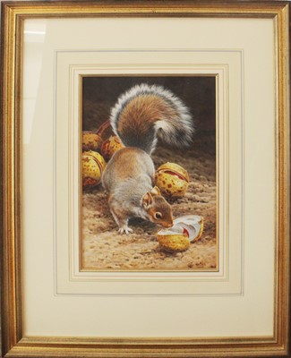 Lot 1034 - Andrew Hutchinson (b.1961) Grey Squirrel and...