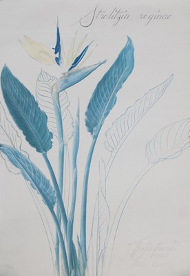 Lot 1047 - After Thalia Lincoln Four signed botanical...