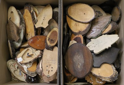 Lot 1112 - Taxidermy Shields: One Hundred & Ten Taxidermy...
