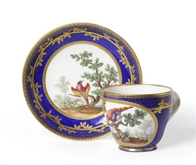 Lot 119 - A Sèvres Porcelain Coffee Cup and Saucer, circa 1764, painted in colours with exotic birds in...
