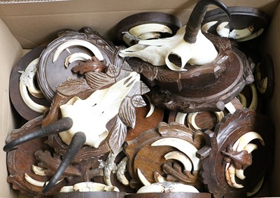 Lot 1301 - Tusks/Horns: A Collection of European Wild...