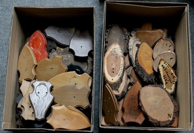 Lot 345 - Taxidermy Shields: One Hundred Taxidermy...