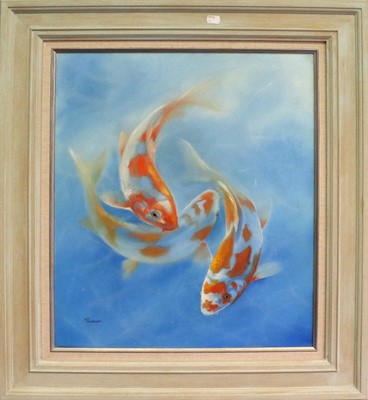 Lot 1046 - B Taverner (Contemporary) Coy Carp Signed, oil...