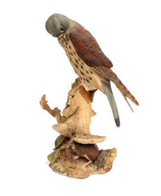 Lot 99 - Border Fine Arts 'Kestrel and Mouse', model No....