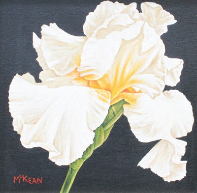 Lot 1063 - Graham McKean (Contemporary) "White Iris"...