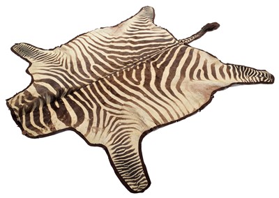 Lot 249 - Skins/Hides: Burchell's Zebra Skin (Equus...