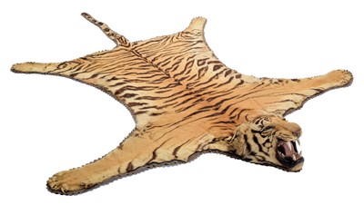 Lot 99 - Taxidermy: A Bengal Tiger Skin (Panthera...