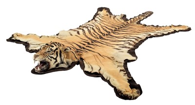 Lot 177 - Taxidermy: Bengal Tiger Skin (Panthera tigris...