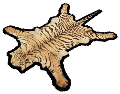 Lot 57 - Skins/Hides: A Bengal Tiger Skin Rug (Panthera...