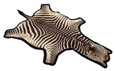 Lot 10 - Skins/Hides: Burchell's Zebra Skin (Equus...