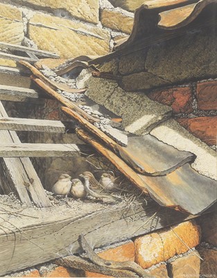 Lot 236 - Andrew Hutchinson (b.1951) Sparrows nesting...