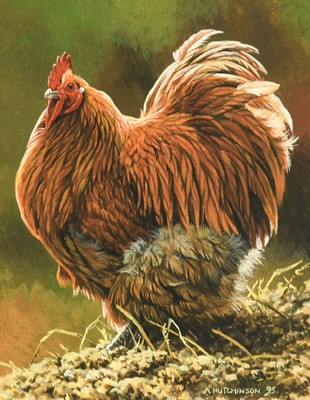 Lot 237 - Andrew Hutchinson (b.1951) Standing Chicken...
