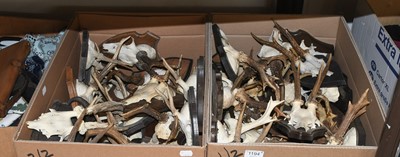 Lot 1194 - Antlers/Horns: A Collection of European...