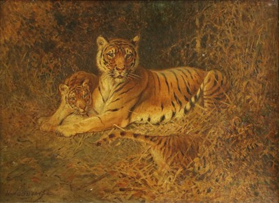 Lot 330 - William Woodhouse (1857-1939) Tigress and cubs...