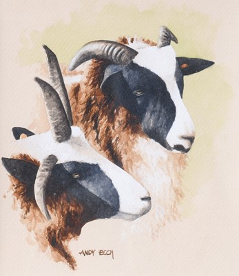 Lot 1074 - Andy Beck Study of Jacob Sheep, Signed,...