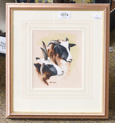 Lot 1074 - Andy Beck Study of Jacob Sheep, Signed,...