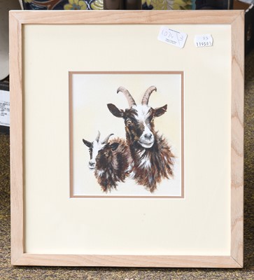 Lot 1074 - Andy Beck Study of Jacob Sheep, Signed,...