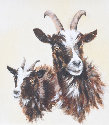 Lot 1074 - Andy Beck Study of Jacob Sheep, Signed,...