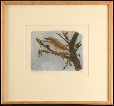 Lot 318 - Robert Hainard (1906-1999) A study of...