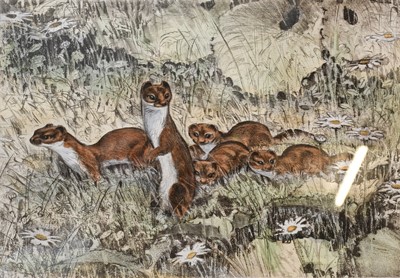 Lot 1096 - Peter Partington (b.1941) "Water Vole" Signed,...