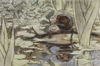 Lot 1096 - Peter Partington (b.1941) "Water Vole" Signed,...