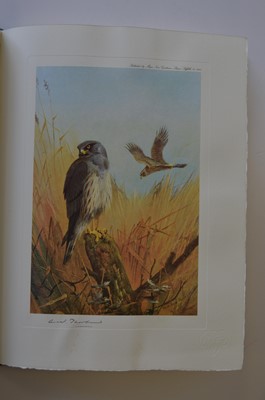Lot 91 - Thorburn (Archibald) Thorburn's Birds of Prey....
