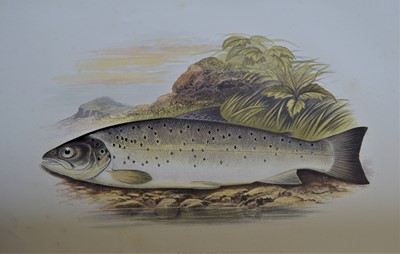 Lot 88 - Houghton (Rev. W.) British Fresh-Water Fishes....