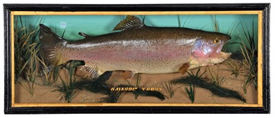 Lot 219 - Taxidermy: A Cased Rainbow Trout (Oncorhynchus...