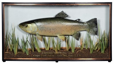 Lot 204 - Taxidermy: A Cased Rainbow Trout (Oncorhynchus...