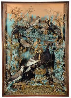 Lot 1266 - Taxidermy: A Large Cased Diorama of British...