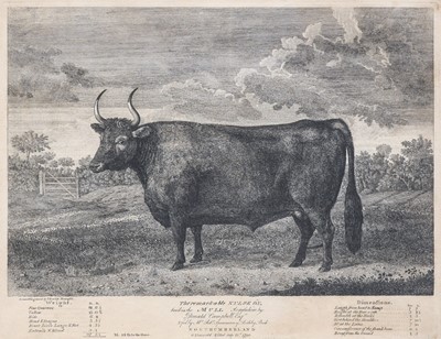 Lot 231 - After Thomas Bewick (1753-1828) "The...