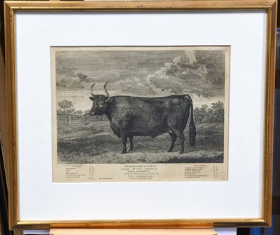 Lot 231 - After Thomas Bewick (1753-1828) "The...