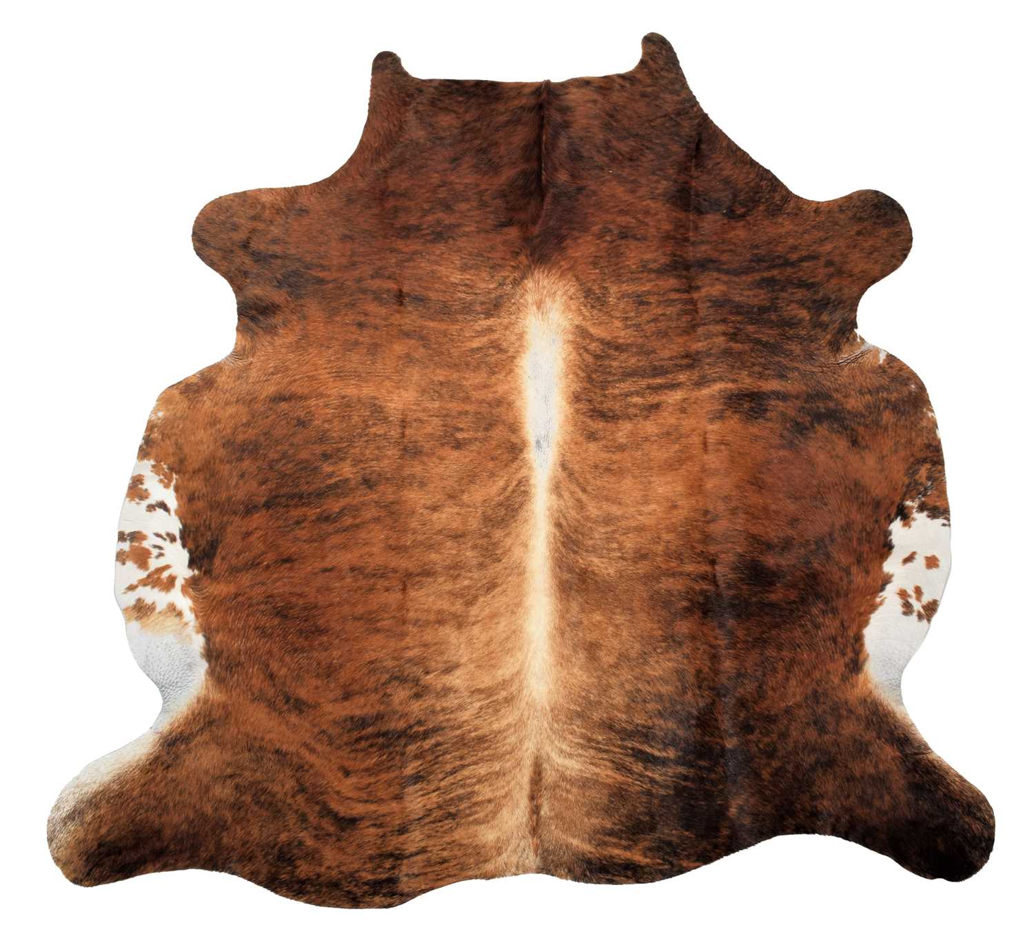 Lot 244 - Hides/Skins: Nguni Bull Hide Rug (Bos