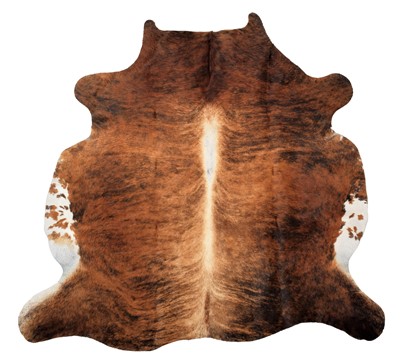 Lot 244 - Hides/Skins: Nguni Bull Hide Rug (Bos taurus),...