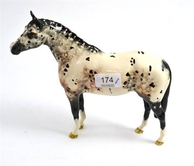 Lot 174 - Beswick Appaloosa stallion, model No. H1772