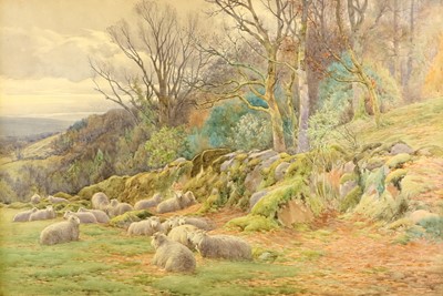 Lot 614 - Charles James Adams (1859-1931) Sheep resting...