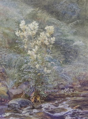 Lot 622 - Edith Martineau ARWS (1842-1909) Meadowsweet...