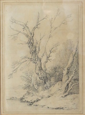 Lot 1033 - Joseph Farrington (1747-1821) Study of trees...