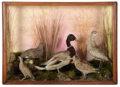 Lot 1239 - Taxidermy: A Late Victorian Display of British...