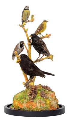 Lot 93 - Taxidermy: A Dome of European Countryside...