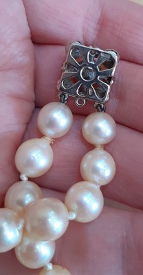 Lot 2072 - A Double Row Cultured Pearl Necklace, with An...