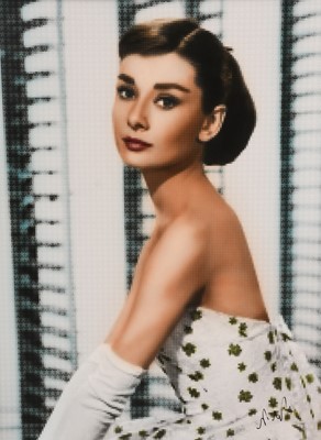 Lot 1060 - Nick Holdsworth (Contemporary) "Audrey Hepburn"...