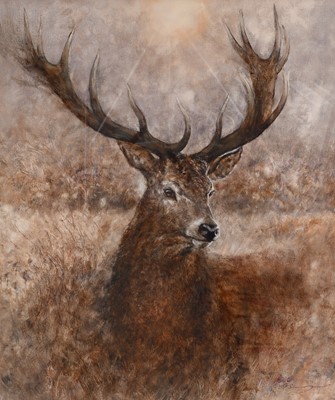 Lot 1061 - Gary Benfield (b.1965) "Noble" Signed and...