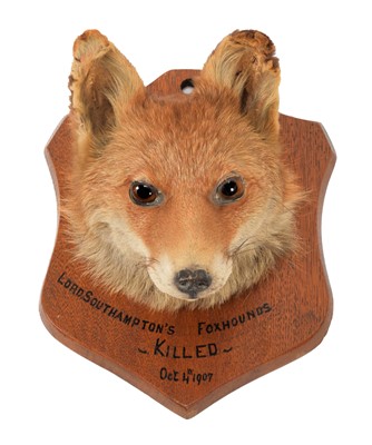 Lot 1242 - Taxidermy: A Group of European Hunting...