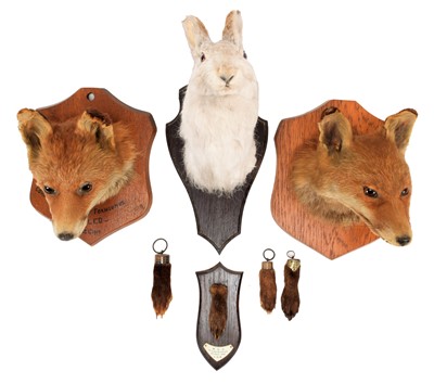 Lot 1242 - Taxidermy: A Group of European Hunting...