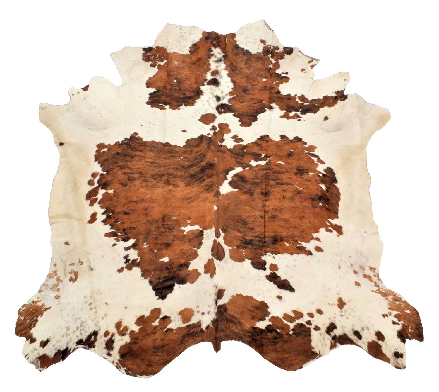 Lot 179 - Hides/Skins: Nguni Bull Hide Rug (Bos taurus),...