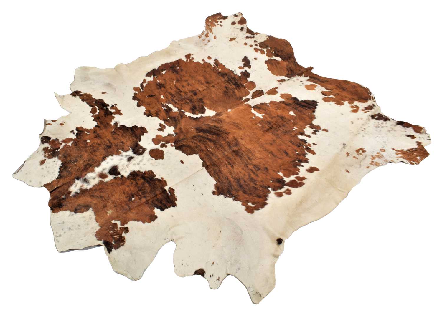 Lot 179 - Hides/Skins: Nguni Bull Hide Rug (Bos