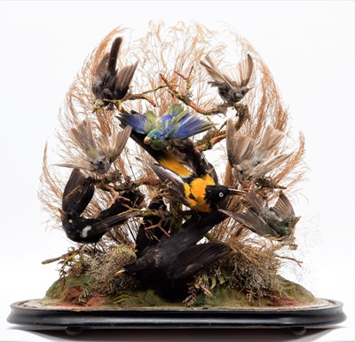 Lot 76 - Taxidermy: A Late Victorian Diorama of...